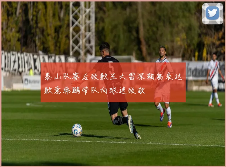 泰山队赛后致歉王大雷深鞠躬表达歉意韩鹏带队向球迷致敬