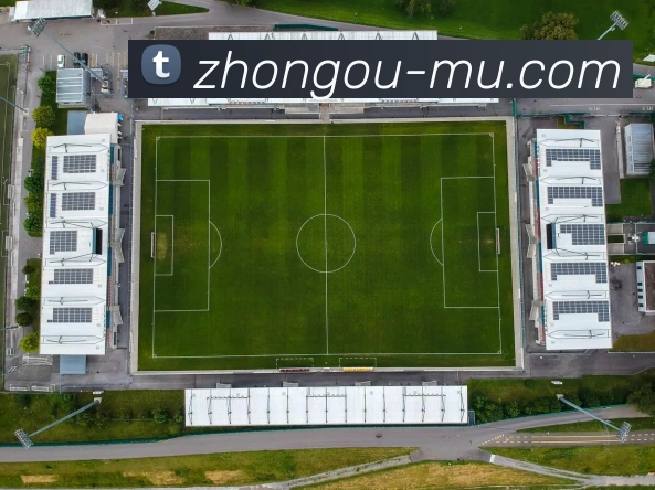 中欧体育平台生态图